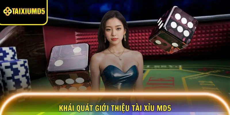 gioi-thieu-tai-xiu-md5-khai-quat