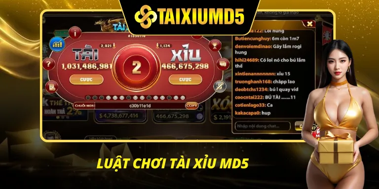 Luật chơi Tài Xỉu MD5 cực kỳ dễ hiểu cho mọi người chơi tại đây
